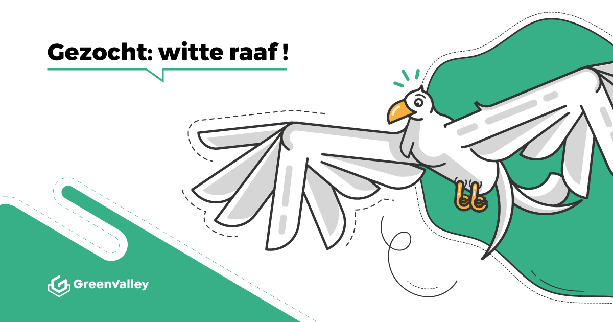 Vacature Java Developer: witte raaf